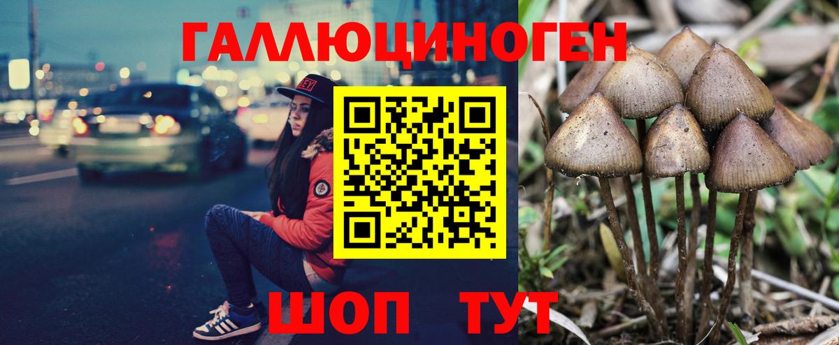 Псилоцибиновые грибы Psilocybine cubensis  Галлюциногенные грибы Cubensis  Каспийск  Вход с VPN 