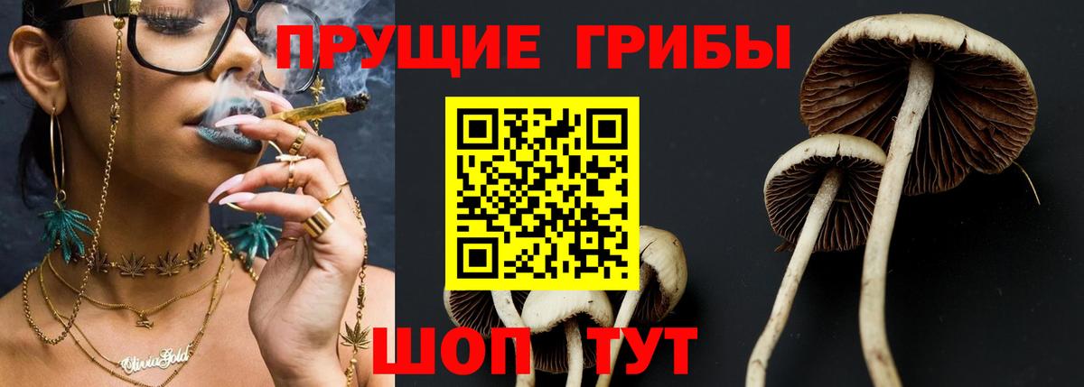 Псилоцибиновые грибы ЛСД Каспийск