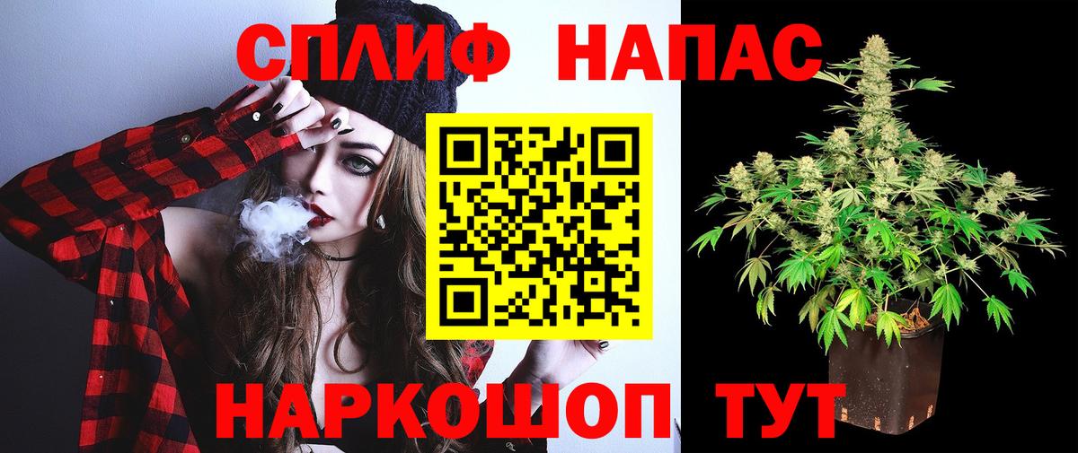 Галлюциногенные грибы Каспийск
